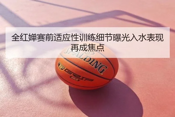 全红婵赛前适应性训练细节曝光入水表现再成焦点